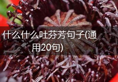 什么什么吐芬芳句子(通用20句)