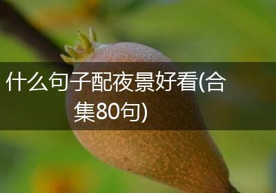 什么句子配夜景好看(合集80句)