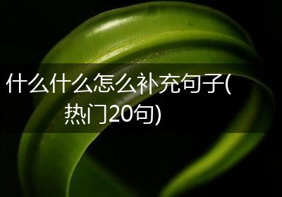 什么什么怎么补充句子(热门20句)