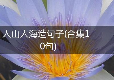 人山人海造句子(合集10句)