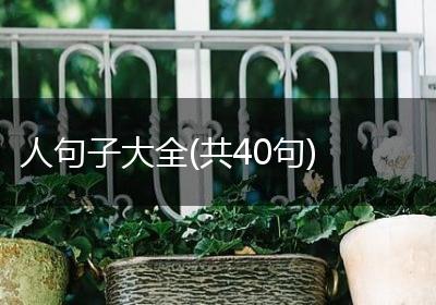 人句子大全(共40句)