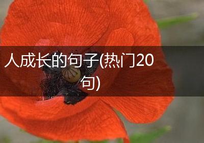 人成长的句子(热门20句)