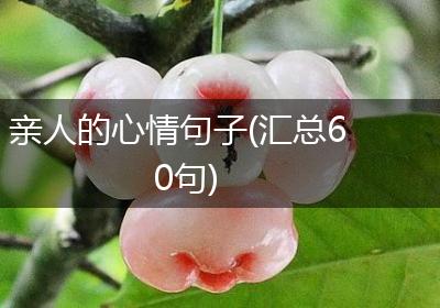 亲人的心情句子(汇总60句)