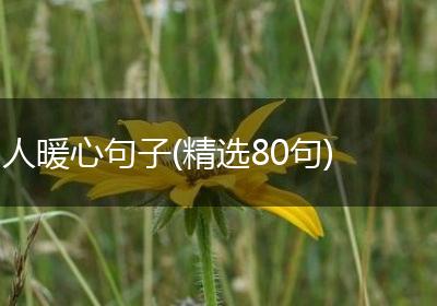 人暖心句子(精选80句)