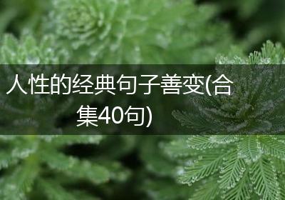 人性的经典句子善变(合集40句)