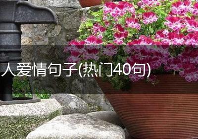 人爱情句子(热门40句)