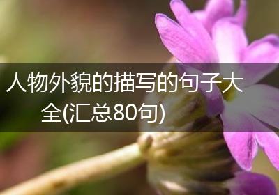 人物外貌的描写的句子大全(汇总80句)
