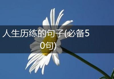 人生历练的句子(必备50句)
