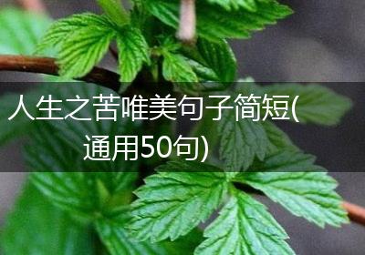 人生之苦唯美句子简短(通用50句)