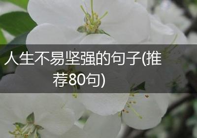 人生不易坚强的句子(推荐80句)