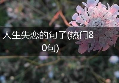 人生失恋的句子(热门80句)