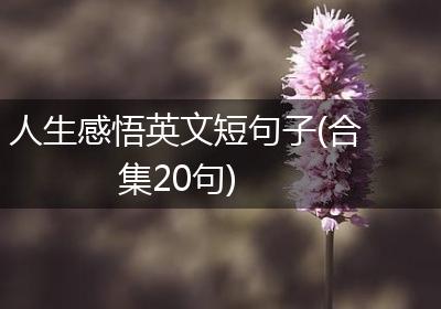 人生感悟英文短句子(合集20句)