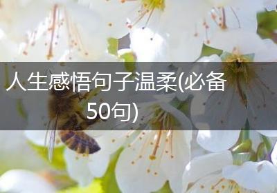 人生感悟句子温柔(必备50句)