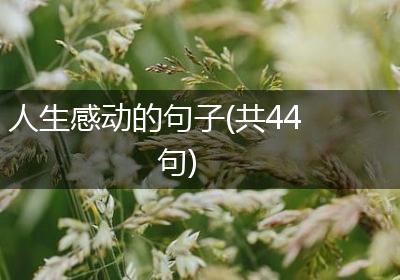 人生感动的句子(共44句)