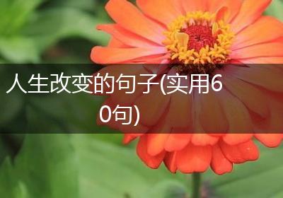 人生改变的句子(实用60句)