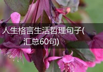 人生格言生活哲理句子(汇总60句)
