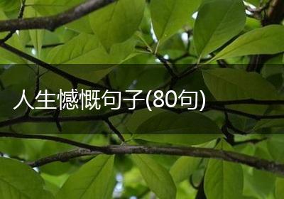 人生憾慨句子(80句)