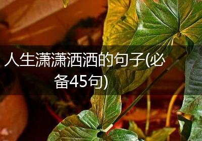 人生潇潇洒洒的句子(必备45句)