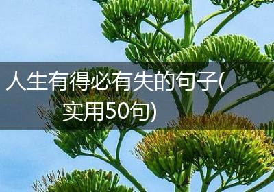 人生有得必有失的句子(实用50句)