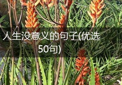 人生没意义的句子(优选50句)