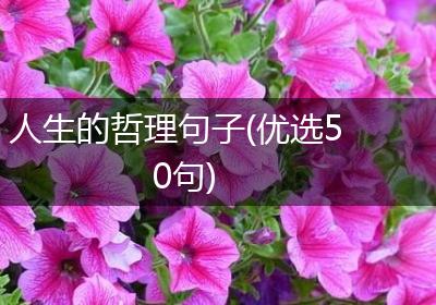 人生的哲理句子(优选50句)