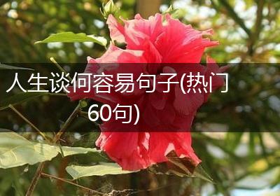 人生谈何容易句子(热门60句)