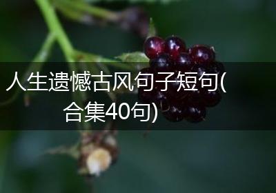 人生遗憾古风句子短句(合集40句)