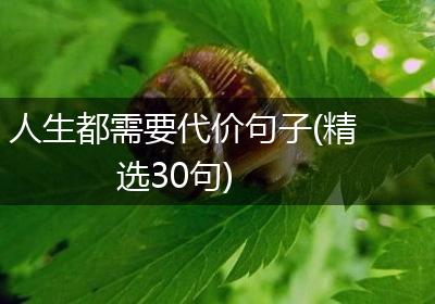 人生都需要代价句子(精选30句)