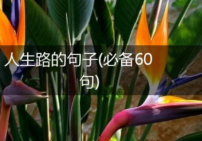 人生路的句子(必备60句)