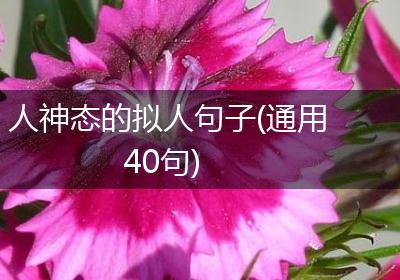 人神态的拟人句子(通用40句)