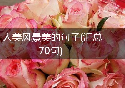 人美风景美的句子(汇总70句)