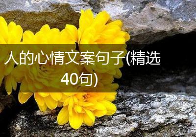 人的心情文案句子(精选40句)