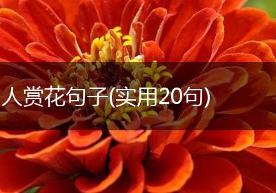 人赏花句子(实用20句)