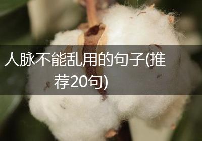人脉不能乱用的句子(推荐20句)