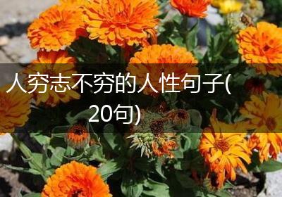 人穷志不穷的人性句子(20句)