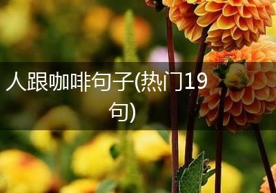 人跟咖啡句子(热门19句)
