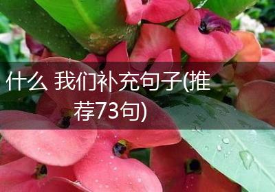什么 我们补充句子(推荐73句)