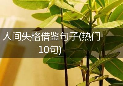 人间失格借鉴句子(热门10句)