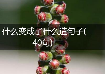 什么变成了什么造句子(40句)