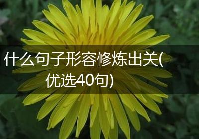 什么句子形容修炼出关(优选40句)