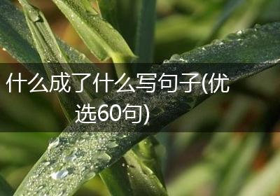 什么成了什么写句子(优选60句)