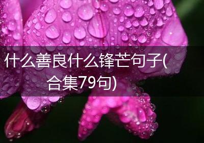 什么善良什么锋芒句子(合集79句)