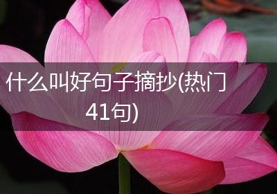 什么叫好句子摘抄(热门41句)
