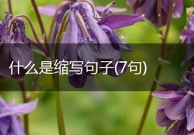 什么是缩写句子(7句)