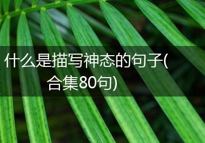 什么是描写神态的句子(合集80句)