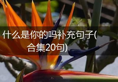 什么是你的吗补充句子(合集20句)