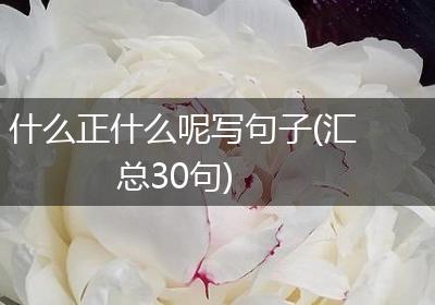 什么正什么呢写句子(汇总30句)