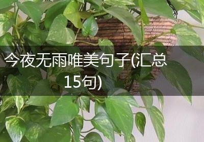 今夜无雨唯美句子(汇总15句)