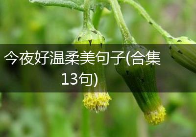 今夜好温柔美句子(合集13句)
