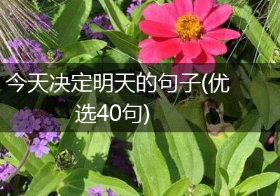 今天决定明天的句子(优选40句)
